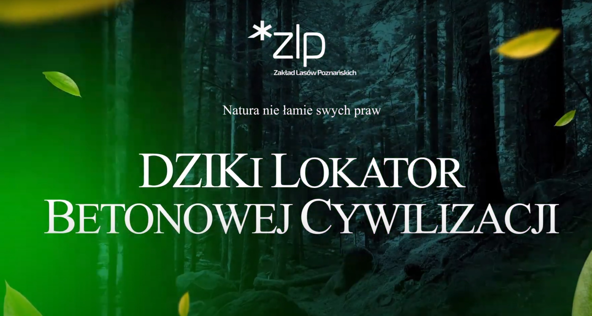 Dziki lokator