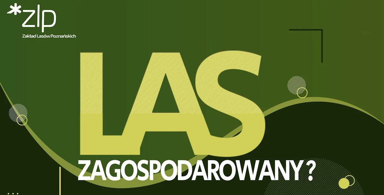 Las zagospodarowany