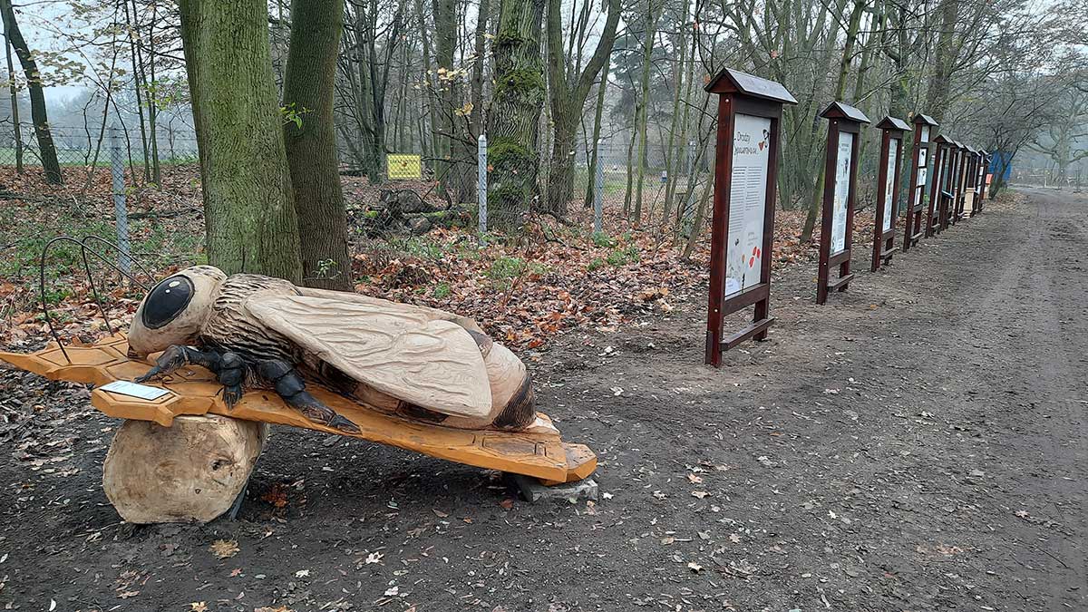 Ścieżka edukacyjna